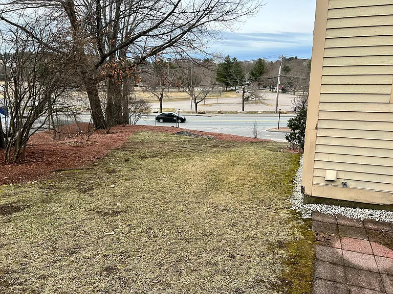 Backyard - other side.