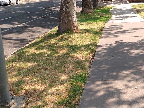 Street view at the entrance of the double-wide driveway in front of the cottage. Its address is 4096 2nd Avenue, Sacramento, CA 95817.