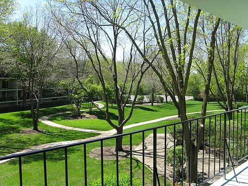 10531 Cedar Lake Rd #312 Photo 1