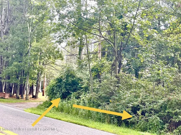 0 Cairo Junction Road, Catskill, NY 12414