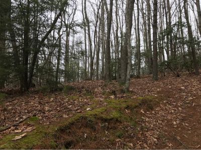 Tbd Red Brush Rd, Mountain City, TN, 37683