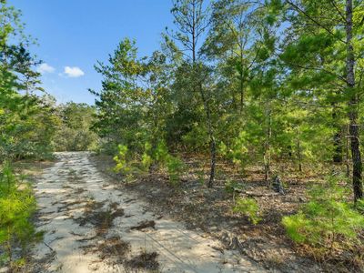 Lots 36 37 38 E Box Elder Dr, Defuniak Springs, FL, 32433