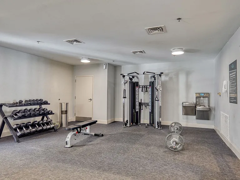 Free Weights