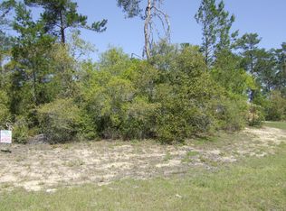 8217 SW 135th Street Rd, Ocala, FL 34473