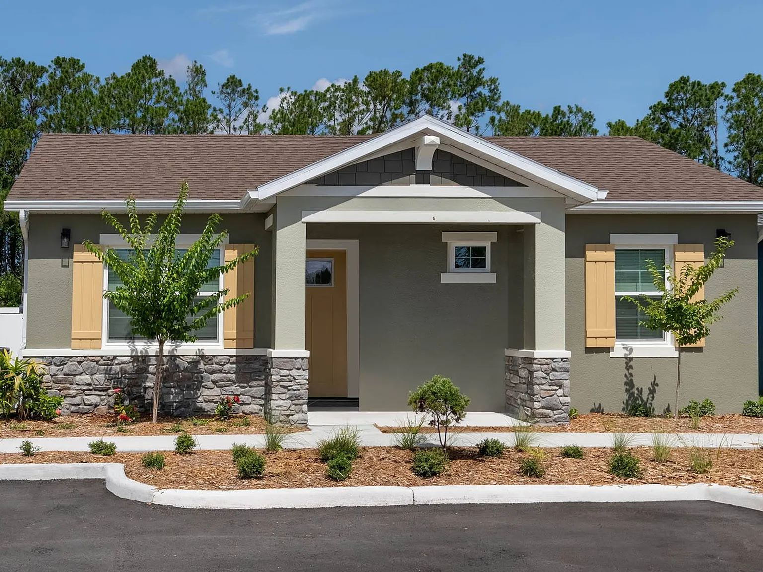 Avilla Silver Palm — Photo 2