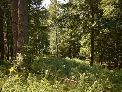 0 Jacobs Road #3, East Montpelier, VT, 05651