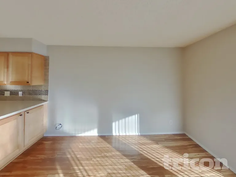 709 Honeybee Ct — Photo 4