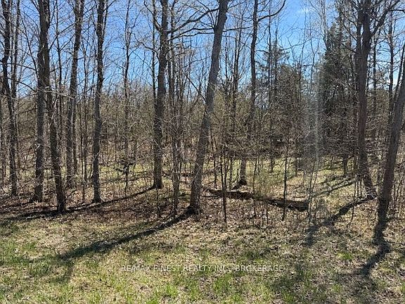 3rd image of 590 Love Rd