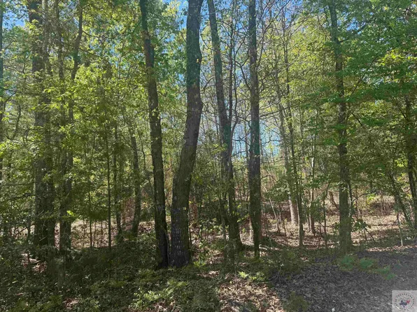 6889 Fm 1399, Linden, TX 75563