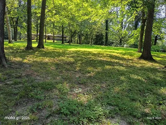2909 County Road 214 — Photo 16