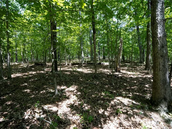 1103 Brown Bear Trl #103, Kansas, OK 74347