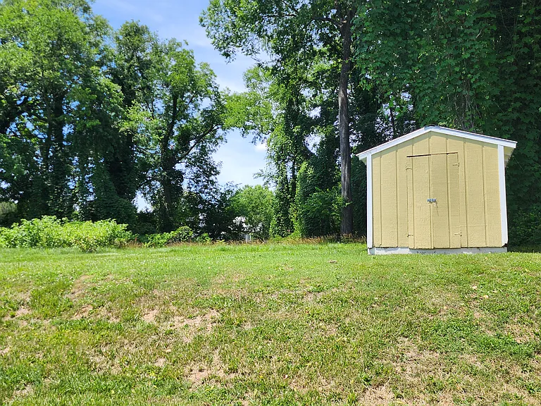 Shed and backyard