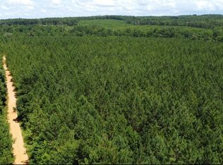 1 Dipping Vat Rd, Daviston, AL 36256