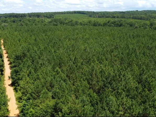 1 Dipping Vat Rd, Daviston, AL 36256