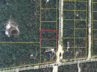 7208 Cardinal St, Florahome, FL 32140