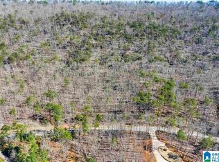 4 Innisbrook Ln, Birmingham, AL 35242