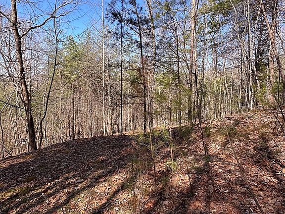 2nd image of LOT-11A Daybreak Blvd