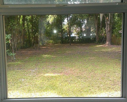 Looking out Kitchen window