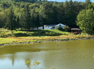 210 Alpine Lake Rd, Sidney, NY 13838