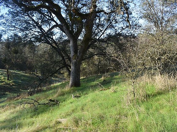2nd image of 3258 Maravilla Dr
