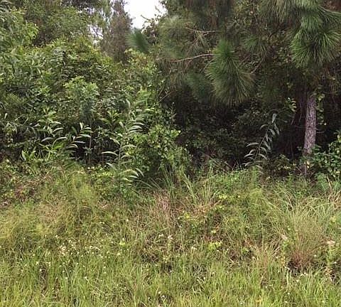 3rd image of 6682 Rockaway Dr