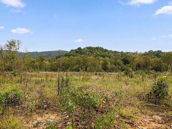 4th image of TRACT 7 Lake Kathy Rd
