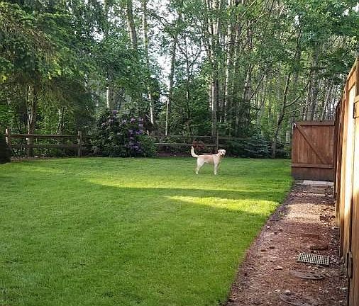Unit backs up to open lawn area and wetlands