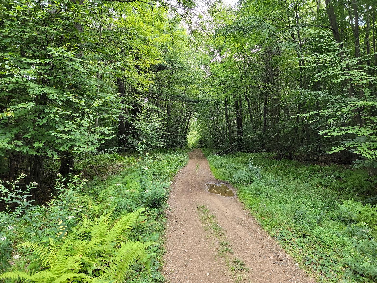 Browns Rd, Kersey, PA 15846 Zillow