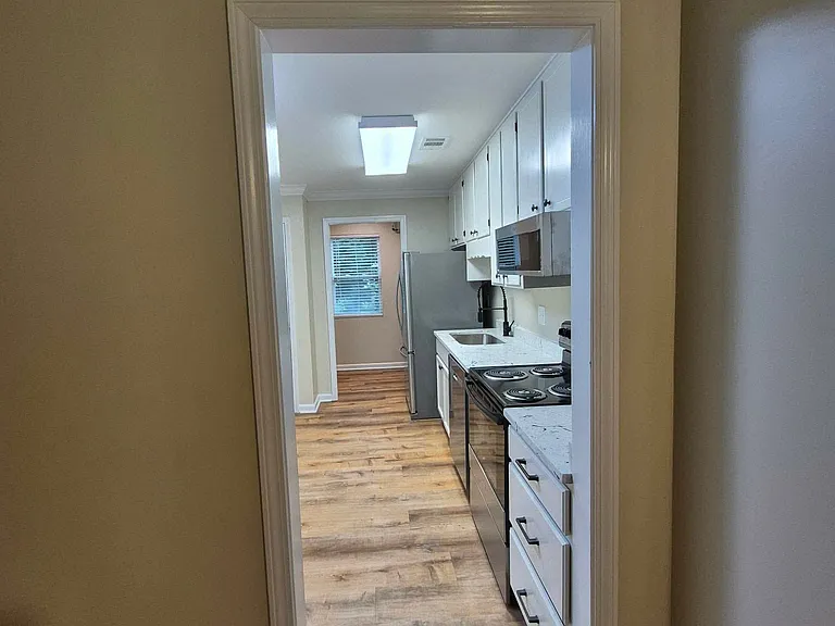 453 Old Epps Bridge Rd — Photo 4