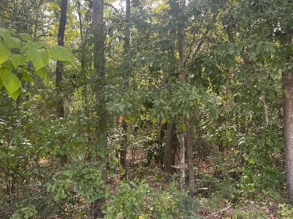 Tbd Cherry Street, Hamlet, NC 28345