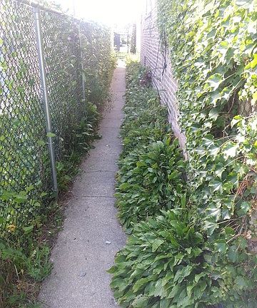 2nd image of 4646 W West End Ave