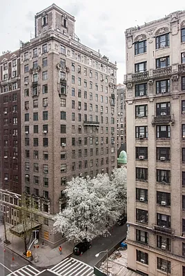 Rented by WAM Partners - William Moses Co. | media 85