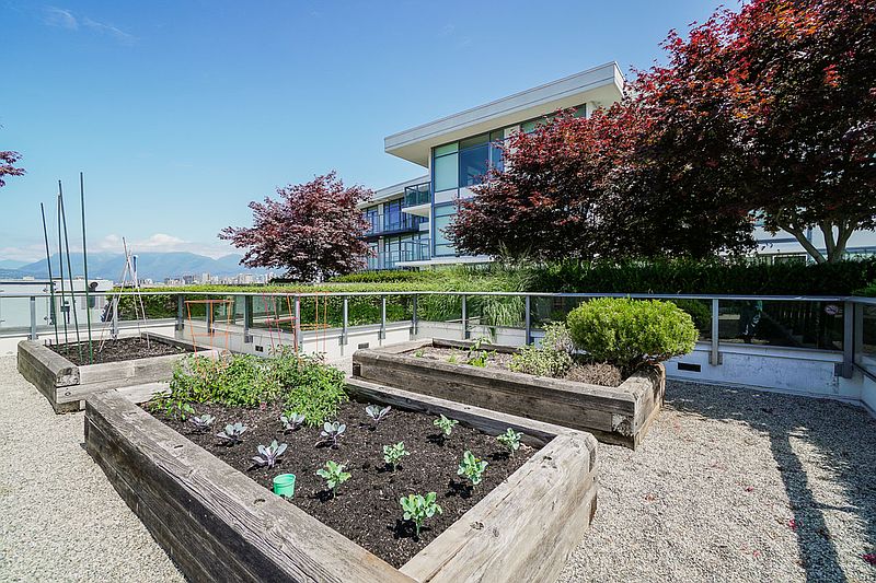 Vancouver Apartment for rent - 1 Bedroom — photo 27