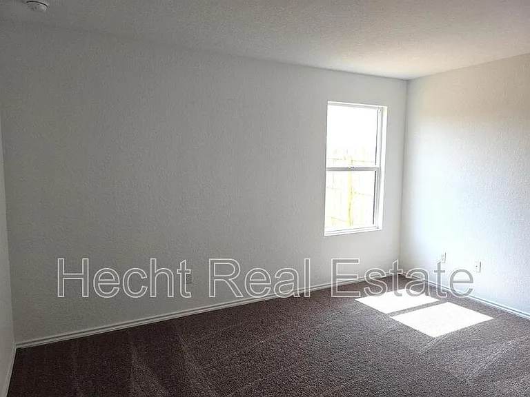 9262 Honey Mesquite — Photo 22