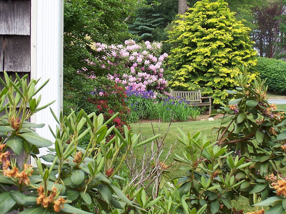 Side Yard