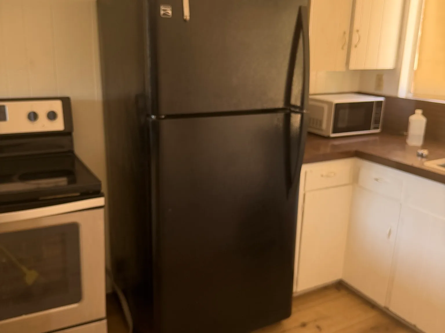 1 bed, 592 sqft, $1,200 — Photo 2