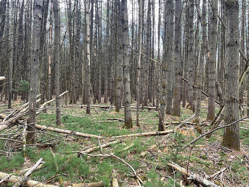 3rd image of 00 Partridge Rd
