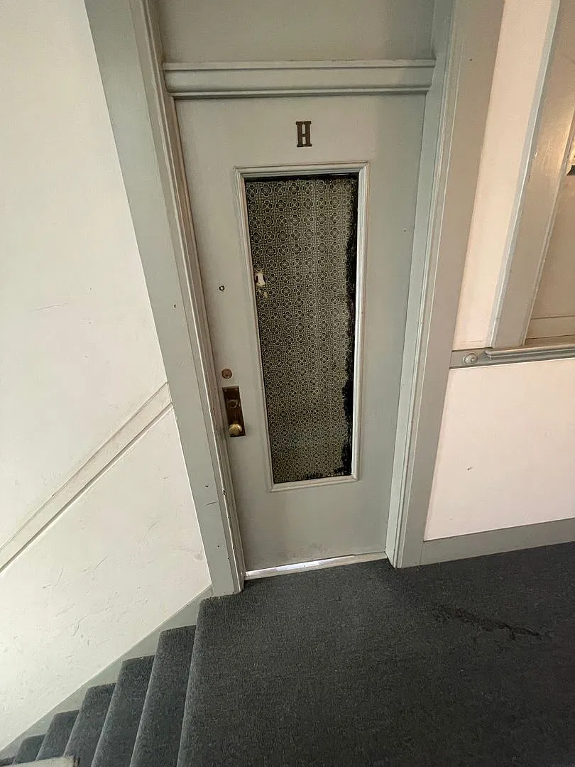179 Oak Street / 72 Lily Street — Photo 3