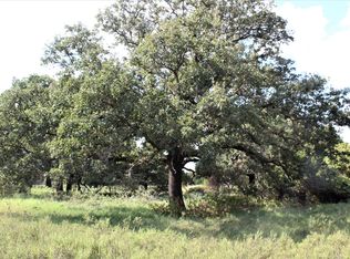 TRACT 4 Fm 2921, De Leon, TX 76444