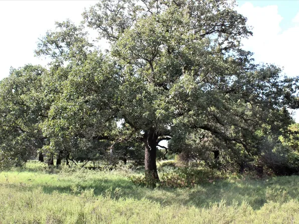 TRACT 4 Fm 2921, De Leon, TX 76444