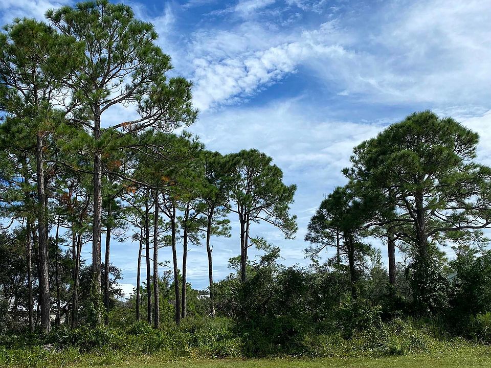 2nd image of Osprey Dr
