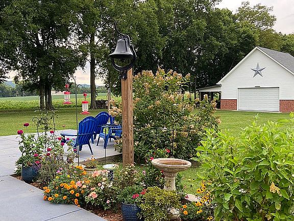 Back yard flower bed.  