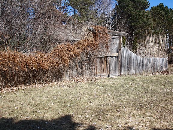 Fenced zen garden