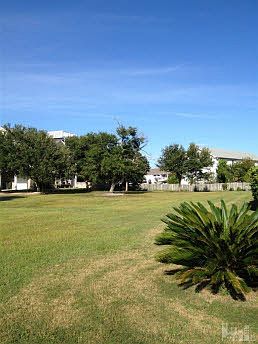 Beautiful, flat lot
