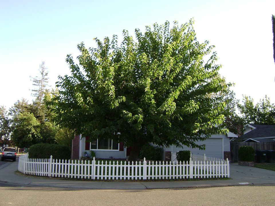 1st image of 6964 Mirador Way