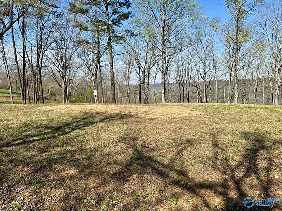 4th image of 302 McCorkle Mountain Rd