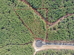 16207 Golden Wood Ct, Willis, TX 77378