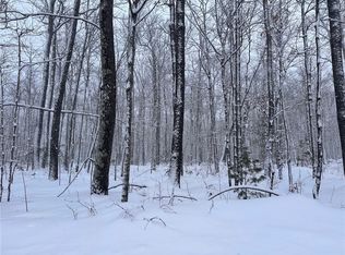 LOT 4 N Scarlet Tanager Ln, Hayward, WI 54843
