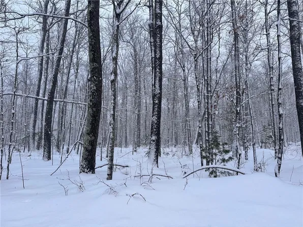 Lot 4 N Scarlet Tanager Lane, Hayward, WI 54843