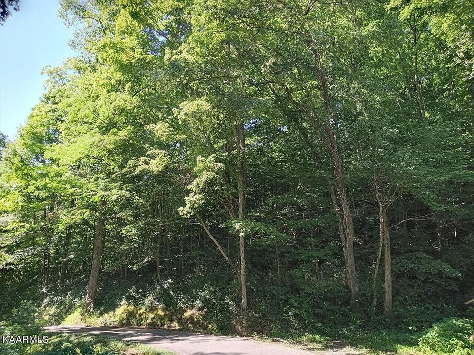 2nd image of Boling Rd